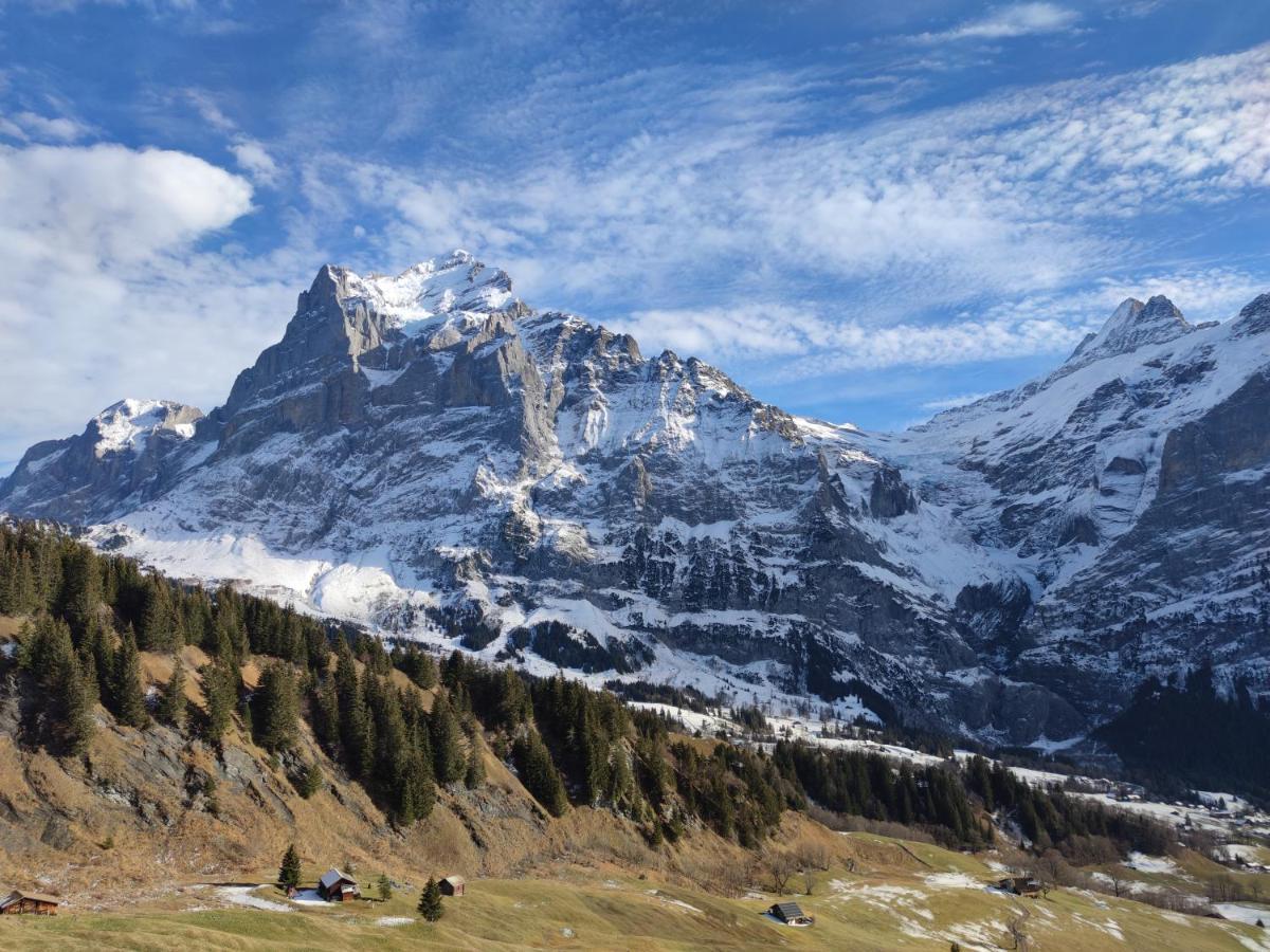 Chalet Pfyffer - Mountain View Grindelwald Buitenkant foto