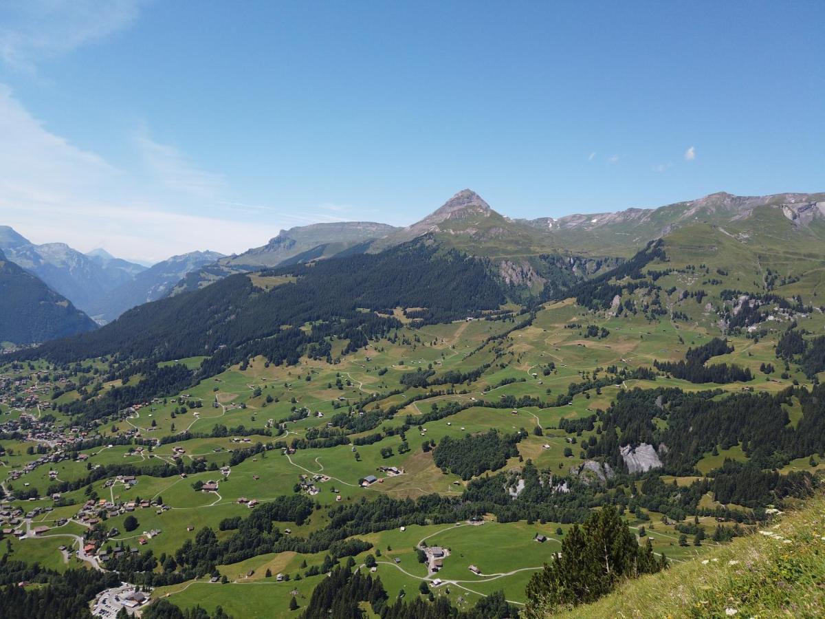 Chalet Pfyffer - Mountain View Grindelwald Buitenkant foto