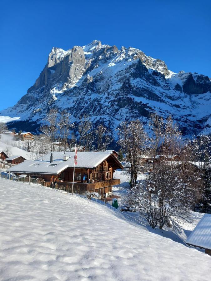 Chalet Pfyffer - Mountain View Grindelwald Buitenkant foto
